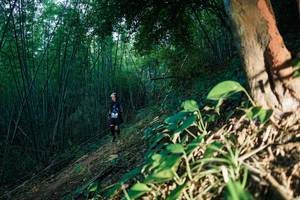 BIB: 
                            <button type="button" onclick="openModal(28124043)" class="btn btn-primary btn-sm float-right btn-popup" data-toggle="modal" data-target=".modal-high-quality">
                        <i class="fas fa-shopping-cart"></i> Add to Cart
                    </button>
                                            <button type="button" onclick="isThisMe(28124043, true)" class="btn btn-success btn-sm float-right btn-popup btn-isme hidden" data-toggle="tooltip" data-placement="bottom" title="นี่คือรูปของคุณใช่ไหม คลิกที่นี่เพื่อเอาเข้าอัลบั้ม">
                        <i class="fas fa-plus"></i> Add to album
                    </button>
                    <button type="button" onclick="isThisMe(28124043, false)" class="btn btn-warning btn-sm float-right btn-popup btn-isnotme hidden">
                        <i class="fas fa-ban"></i> Remove from album
                    </button>